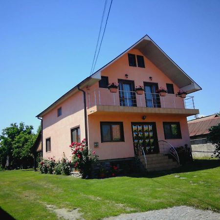 Pensiunea Balea Sat Cîrţişoara Dış mekan fotoğraf