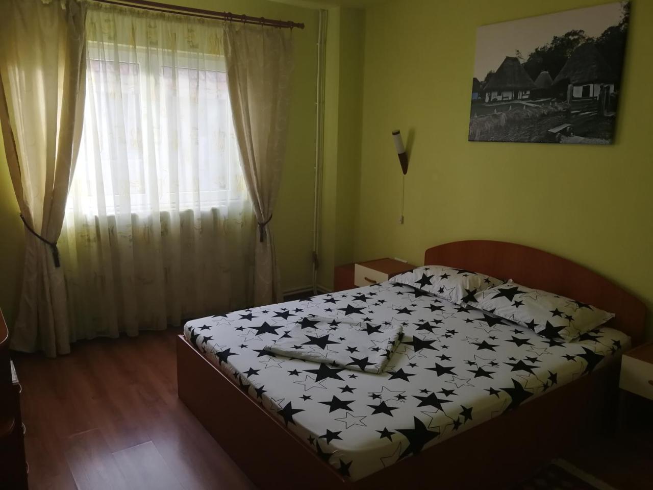 Pensiunea Balea Sat Cîrţişoara Dış mekan fotoğraf